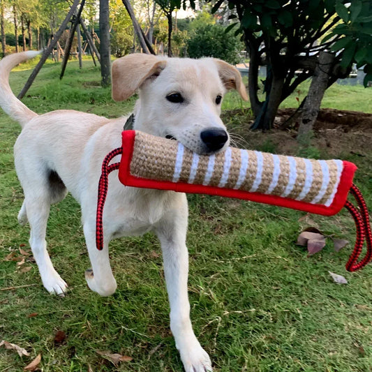 Durable Dog Training Tough Jute Bite Pillow Pull Toys for Tug of War and Interactive Play for Small Medium Large Dogs Pet