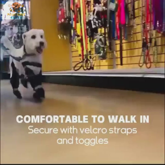 Waterproof Dog Rain Boots - Anti-Slip Paw Protectors