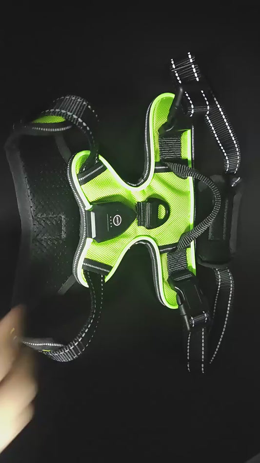 LED Dog Harness - Rechargeable Light Up Vest
